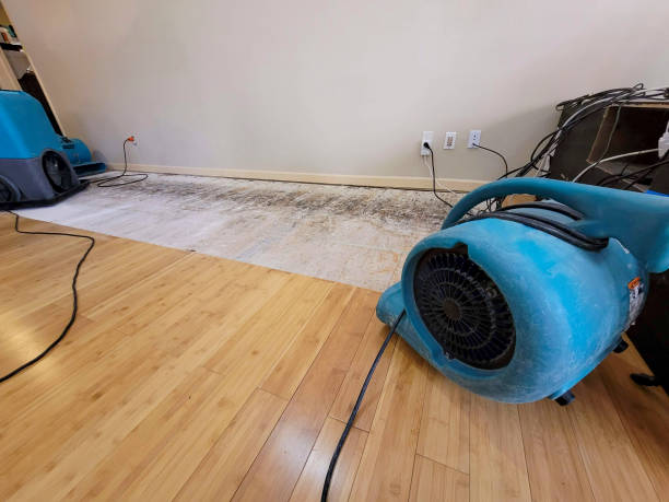 Professional Flood Damage Cleanup technician working in Salvo, NC